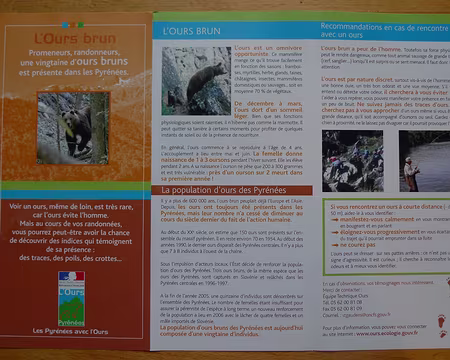 61 Nous n'avons vu que l'homme qui a vu le berger qui a vu l'ours... (!)