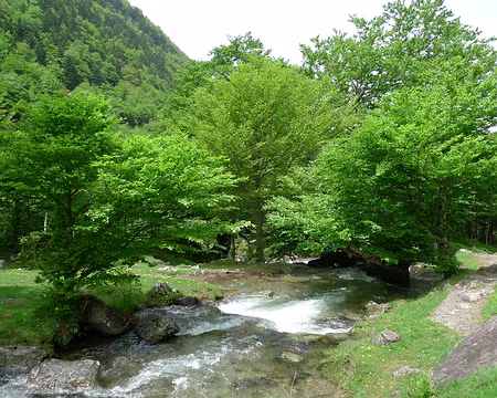 65 Eau et verdure, encore.