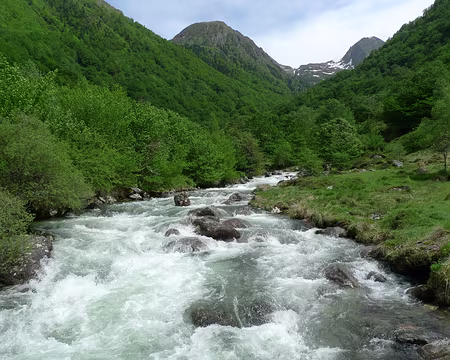 66 Eau et verdure, toujours.