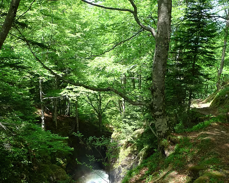 77 Le ruisseau tumultueux du Fouillet.