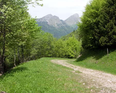 IMG_004 Col de la Sciaz