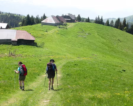 IMG_009 Descente du Col de la Cochette