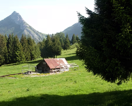 IMG_014 La petite maison dans la prairie