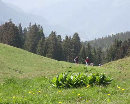 IMG_017 Crêt de Chatillon.