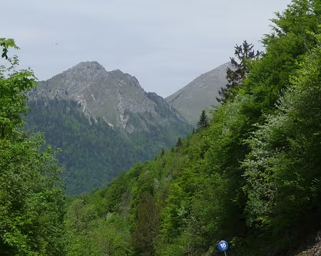 002 Les 1er Monts en vue...