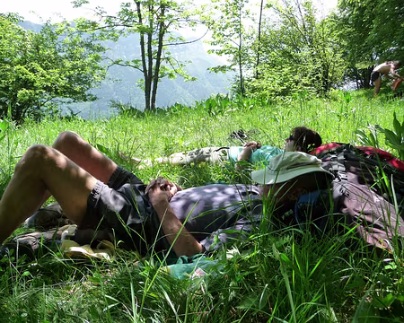 015 Repos après déjeuner !!!