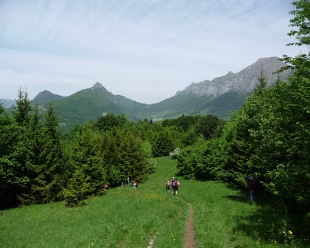 016 Poursuite de notre descente...