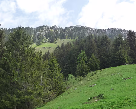 029 Le Roc des Boeufs (vu de l'ouest)