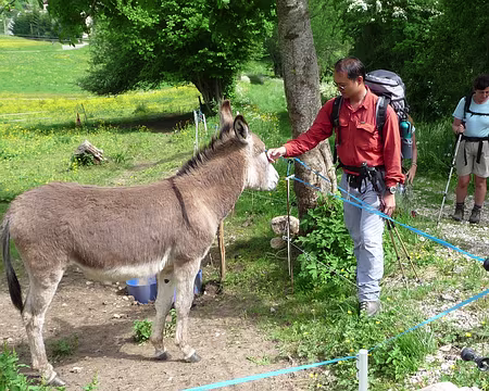 032 Tu as de beaux yeux, tu sais...