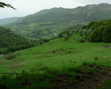 22 Descente vers Mandailles