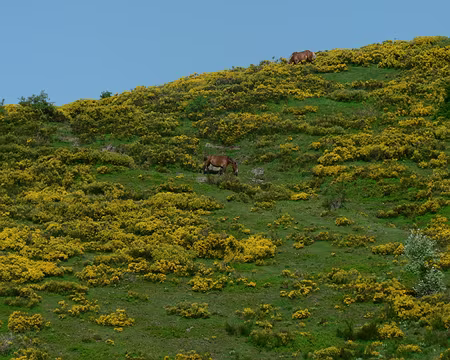 26 La fumade vieille 1173m