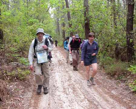 Lac de Moutchic, Gironde, mai 2009 Forêt de Moutchic