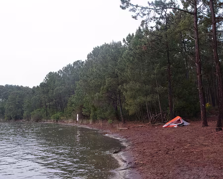 008 Étang d'Hourtin