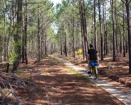017 Moins de 6 km/h, on l'a dépassé