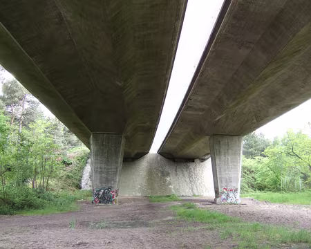 10 La nature est parfois si belle …