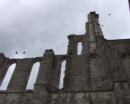 107 Larchant nous avait caché ce joyau ….