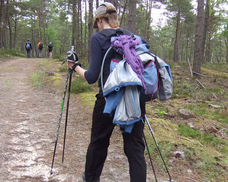 11 Les femmes n’en n’ont jamais assez …