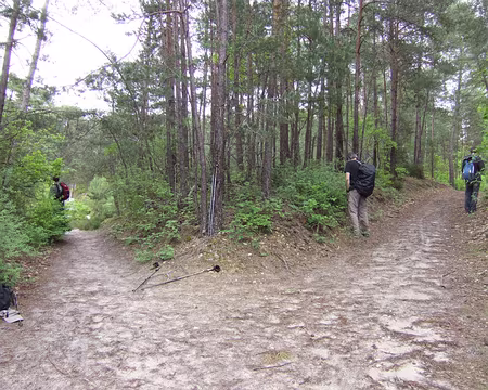 119 Prostate défaillante ou abus d’eau ferrugineuse ???