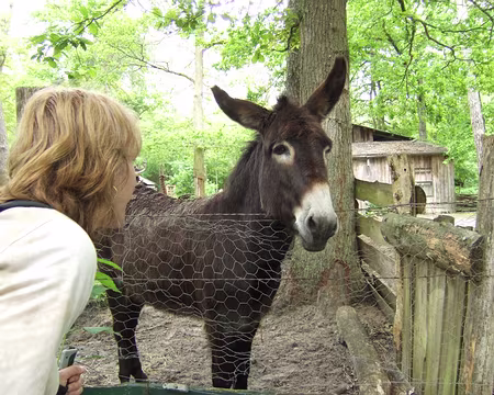 120 Non Nath, n’insiste pas, il ne parle pas notre langue ….