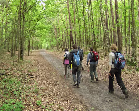 122 Dernière ligne droite …