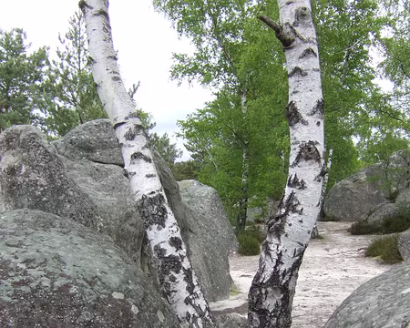 14 Mélange des genres