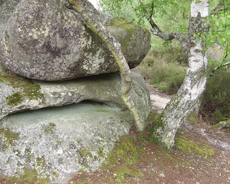 27 Qui l’emportera ?