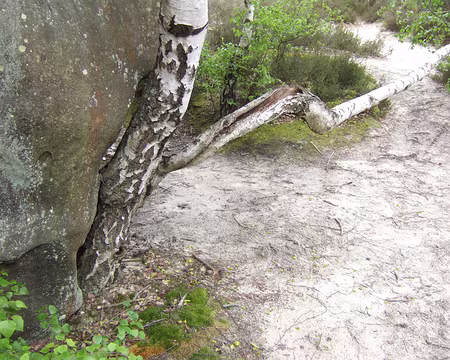 29 Epreuve de force ou rapprochement viril