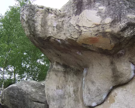 37 Le toit du Cul de Chien est bien gardé