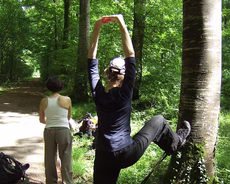 46 …. accompagnée d’un arbre …