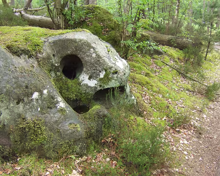 51 Passage rapide, il a l’air affamé !