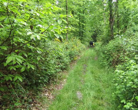 53 On n’est pas bien là ???