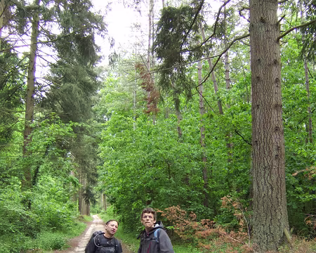 54 Ils sont où encore les boulets ???