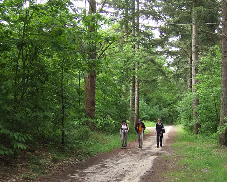 55 On se dépêche et on sourit sivouplé :-)