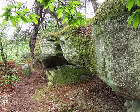 74 Rencontre du 3ème type !