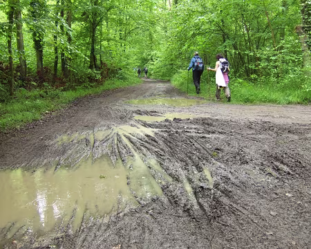 82 Bon OK, il a énormément plu cette nuit …