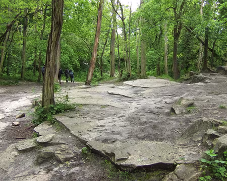 85 A la recherche de la grotte perdue …