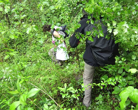 88 … SAYAI, j’ai trouvéééééééé , suivez-moi :-)