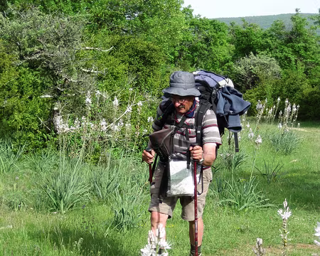 PXL021 Claude au milieu des asphodèles