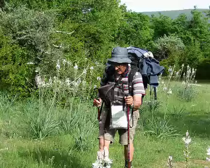 PXL021 Claude au milieu des asphodèles