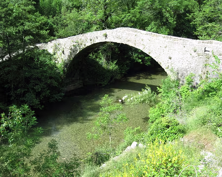 PXL025 Le pont roman sur la Vis