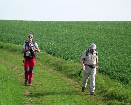 Houdan Rambouillet 010