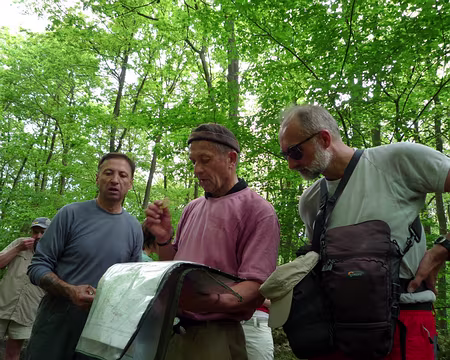 Houdan Rambouillet 015