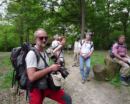 Houdan Rambouillet 025