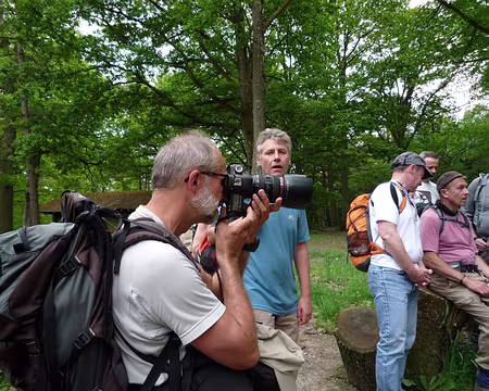 Houdan Rambouillet 027