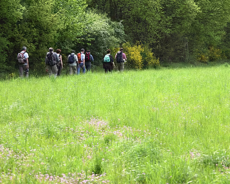 IMG_2689 Toujours les mêmes devant, normal YFONPADFOTOS eux !!!