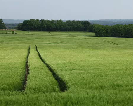 IMG_2697 A bas les 4X4 ;-)