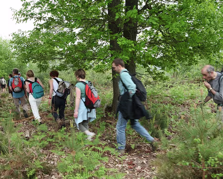 IMG_2712 Cafistes ++ recherchent un coin sympa pour déjeuner !