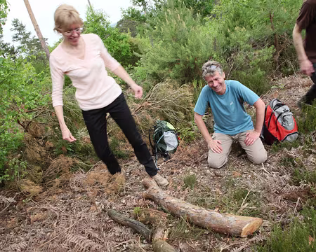 IMG_2713 Quelques travaux d’aménagement plus tard, la salle à manger est prête (non, non, les hommes n’ont pas aidé :-( )