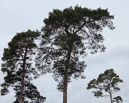 IMG_2738 La mer n’est plus très loin ….. sortez vos maillots !