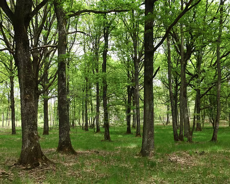 IMG_2748 Oh la la, ça a vraiment été planté n’importe comment !!!